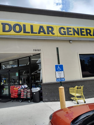 Discount Store «Dollar General», reviews and photos, 16881 Spring St, White Springs, FL 32096, USA