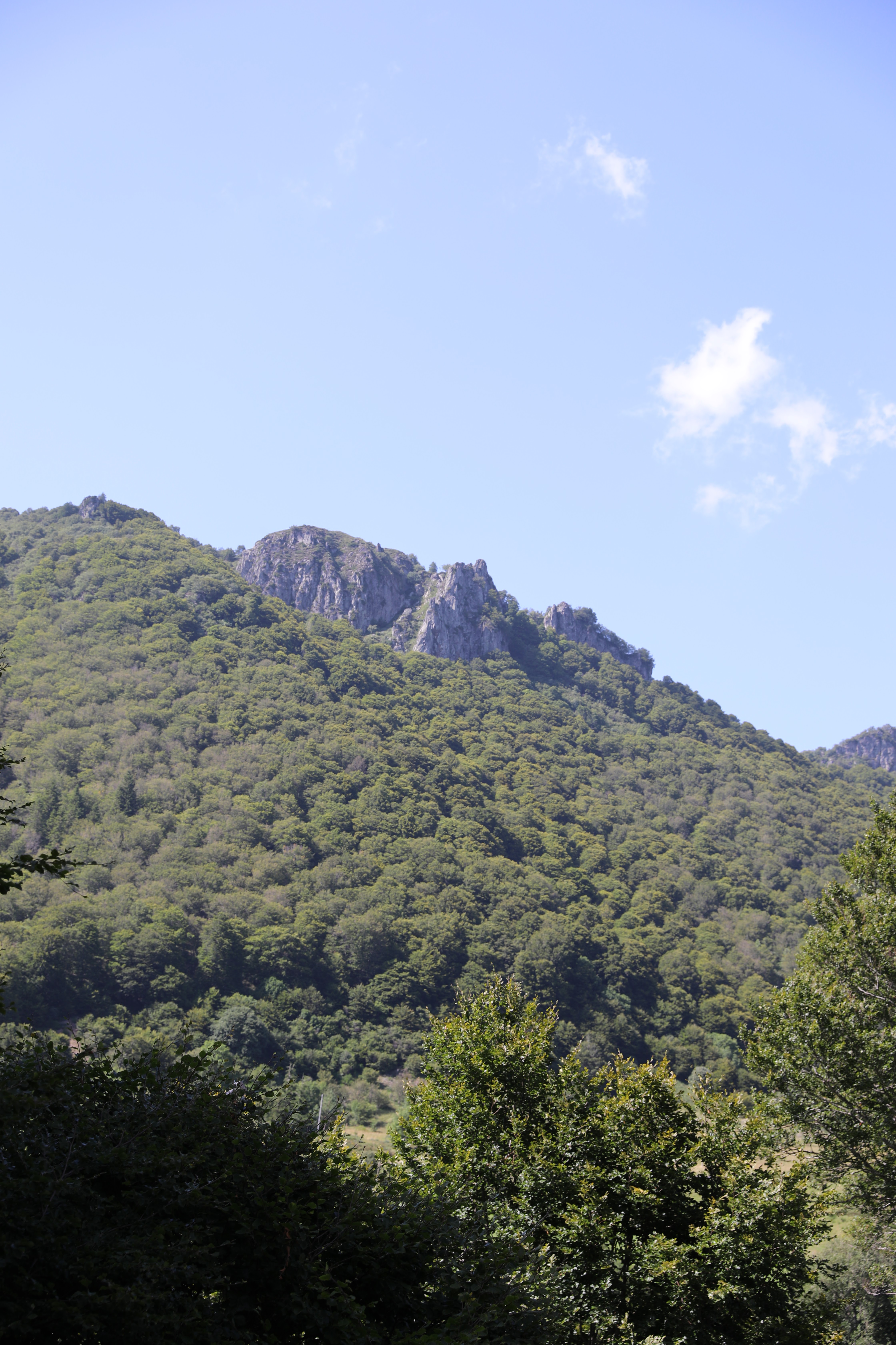 Photo n° 18 de l'avis de Michel.o fait le 17/08/2021 à 16:52