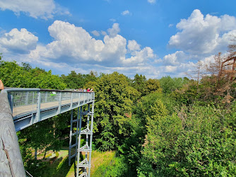 Baumkronenpfad Beelitz-Heilstätten Baum&Zeit