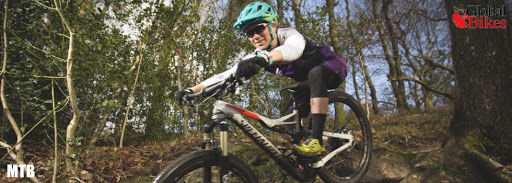 Bicycle Store «Global Bikes - Ahwatukee Bike Shop», reviews and photos, 3636 E Ray Rd #6, Phoenix, AZ 85044, USA