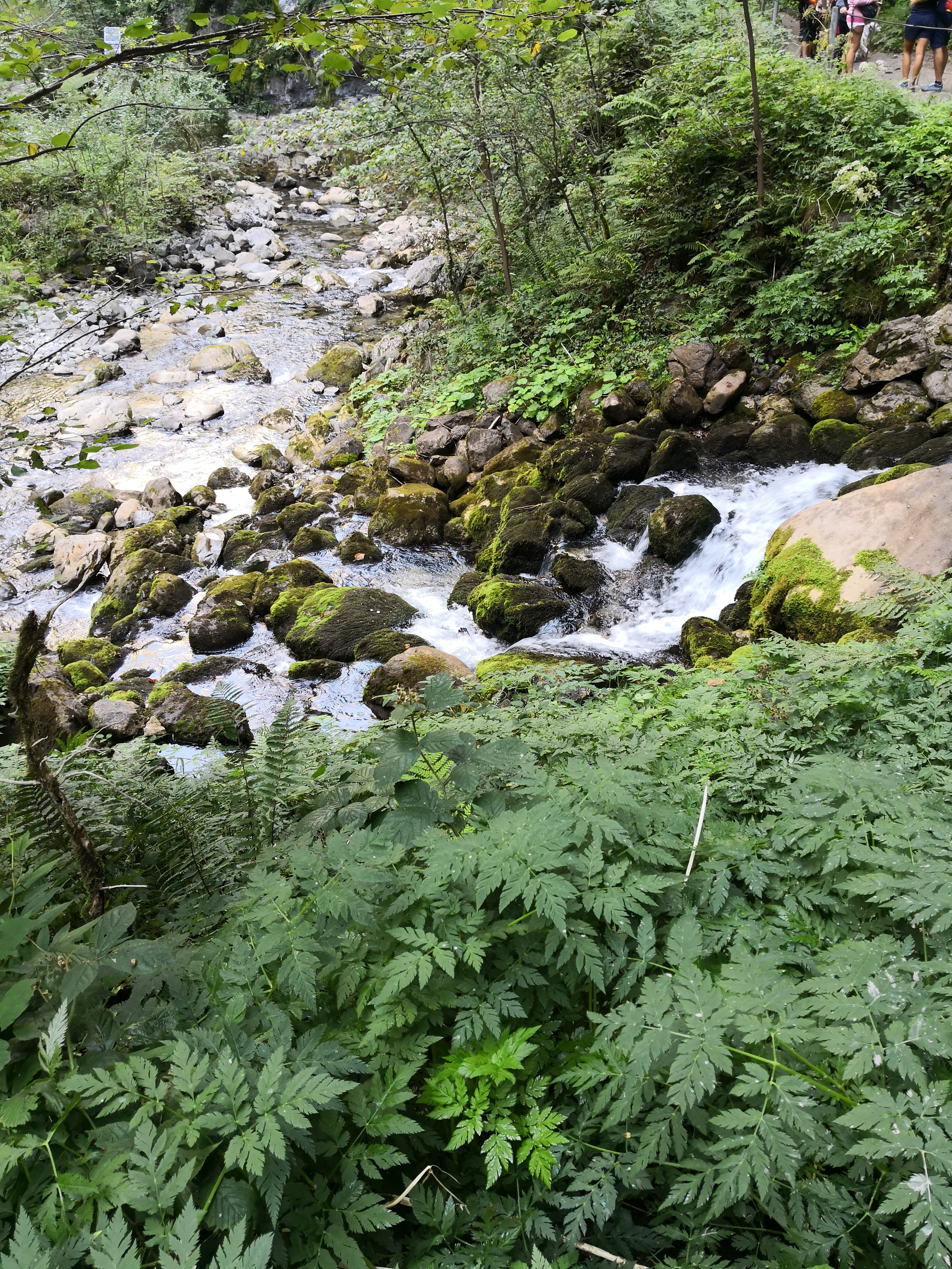 Photo n° 10 de l'avis de bruno.a fait le 28/08/2018 à 09:33