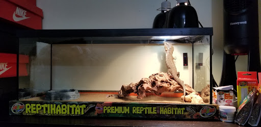 Pet Supply Store «Your Pet Experts», reviews and photos, 1665 State Hill Rd #490, Wyomissing, PA 19610, USA