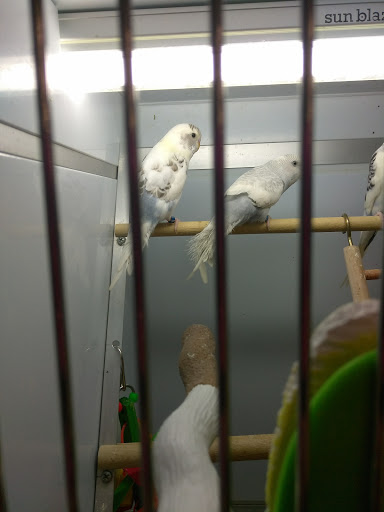 Pet Supply Store «Pet Supplies Plus», reviews and photos, 5708 State St, Saginaw, MI 48603, USA