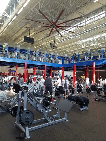 Short Fitness & Sports Center - 8115 Cypress Stand St #303, Tampa, FL 33621
