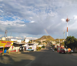 Pollos y Papas Asados El Gavilán photo