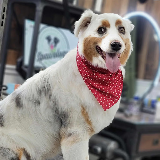 Spawology Pet Grooming Spa