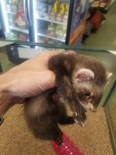 Pet Store «A Family Pet Center», reviews and photos, 6230 N Lockwood Ridge Rd, Sarasota, FL 34243, USA