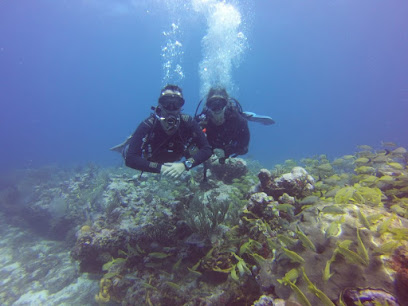 MDQ BUCEO - Centro Actividades Acuáticas Y Subacuaticas