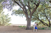 Calluna Photography - Photo 4 - Car repair in , Fort Worth