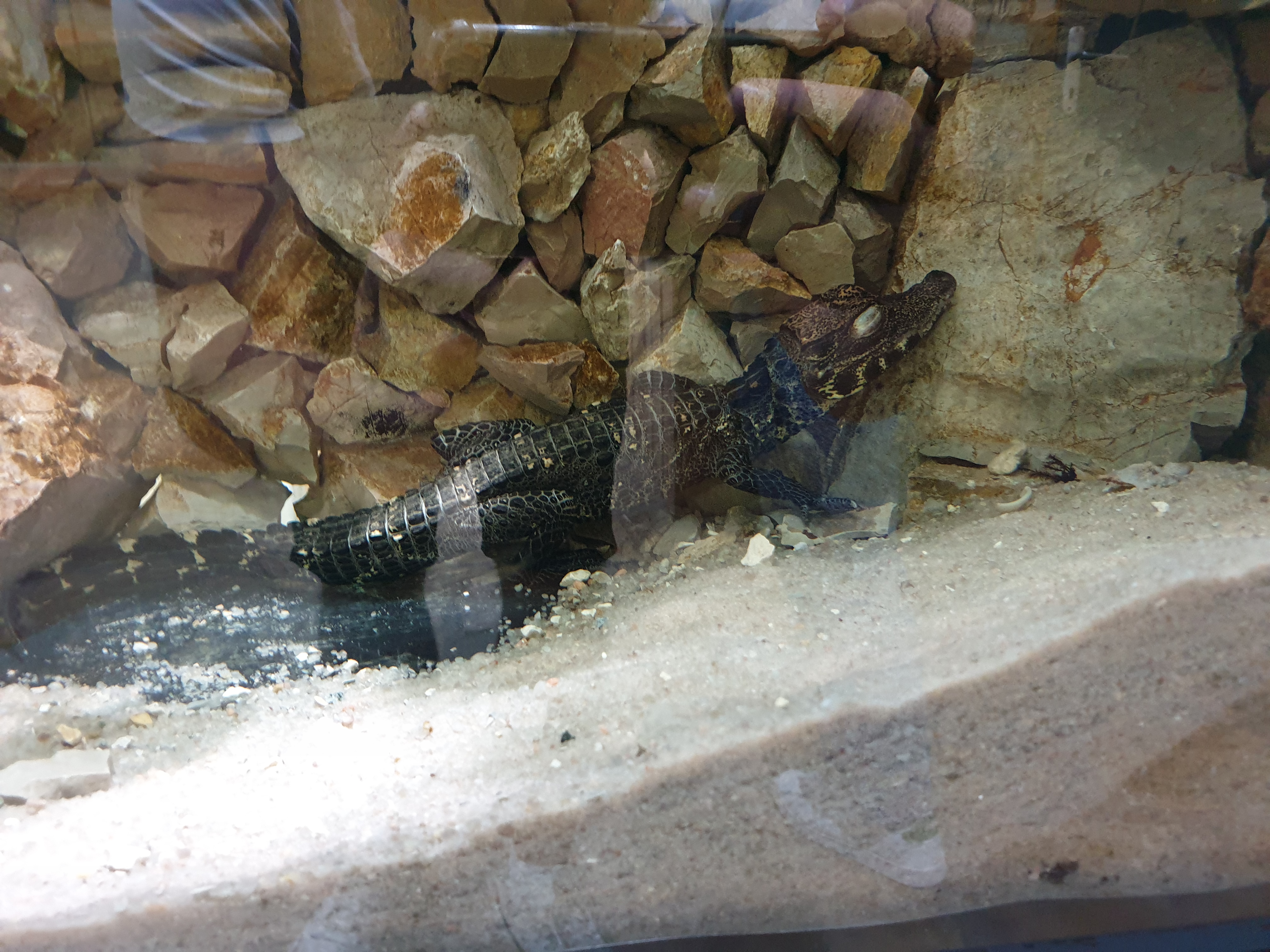 Photo n° 8 de l'avis de Théo.e fait le 14/05/2022 à 14:15