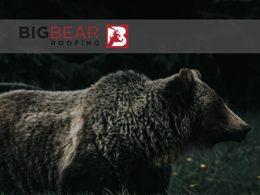 Roofing Contractor «Big Bear Roofing», reviews and photos, 2408 Ashley River Rd s, Charleston, SC 29414, USA