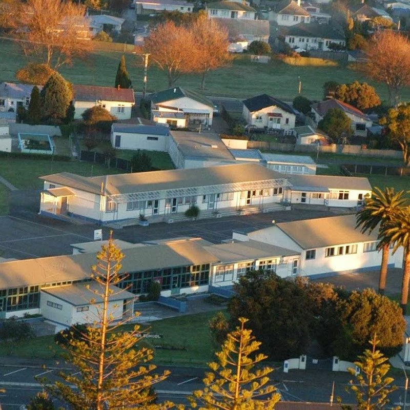 Te Awa School