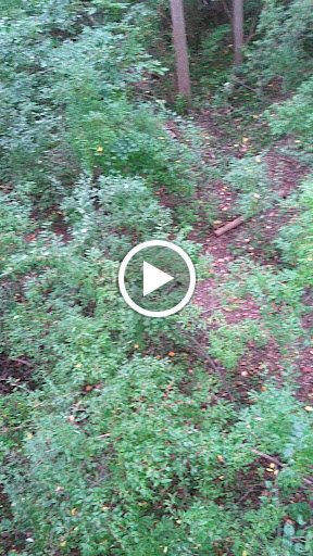 Recreation Center «Go Ape Zip Line & Treetop Adventure - Lums Pond State Park», reviews and photos, 1042 Howell School Rd, Bear, DE 19701, USA