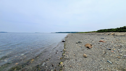 Castalia Marsh Beach
