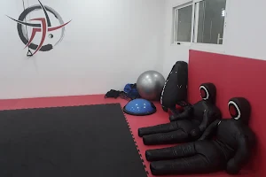THE GURU - Martial Arts and Fitness Academy image