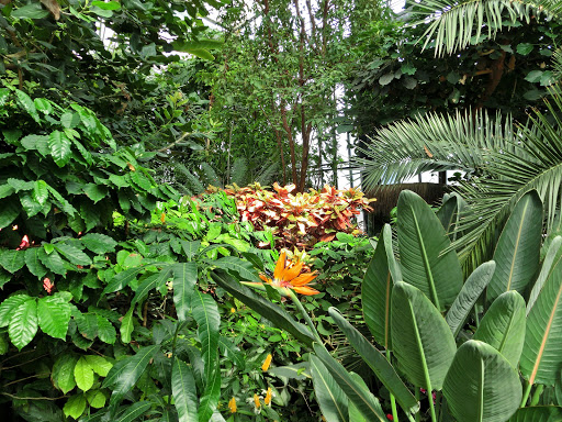 Pflanzenschauhaus im Luisenpark