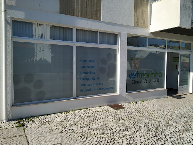 Avaliações doVetmarinha - Clínica Veterinária em Marinha Grande - Veterinário