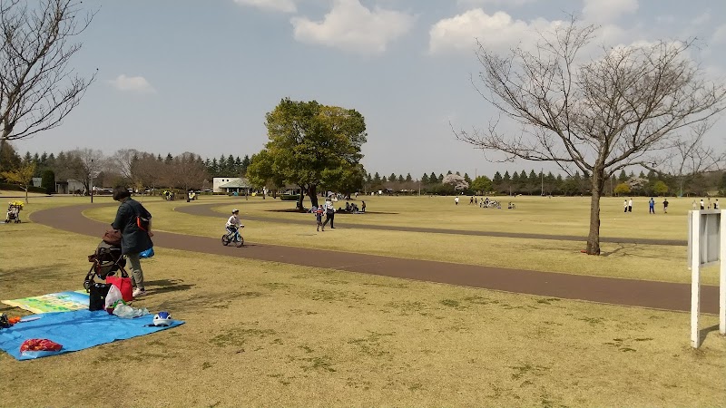 小山総合公園 栃木県小山市外城 公園 公園 グルコミ