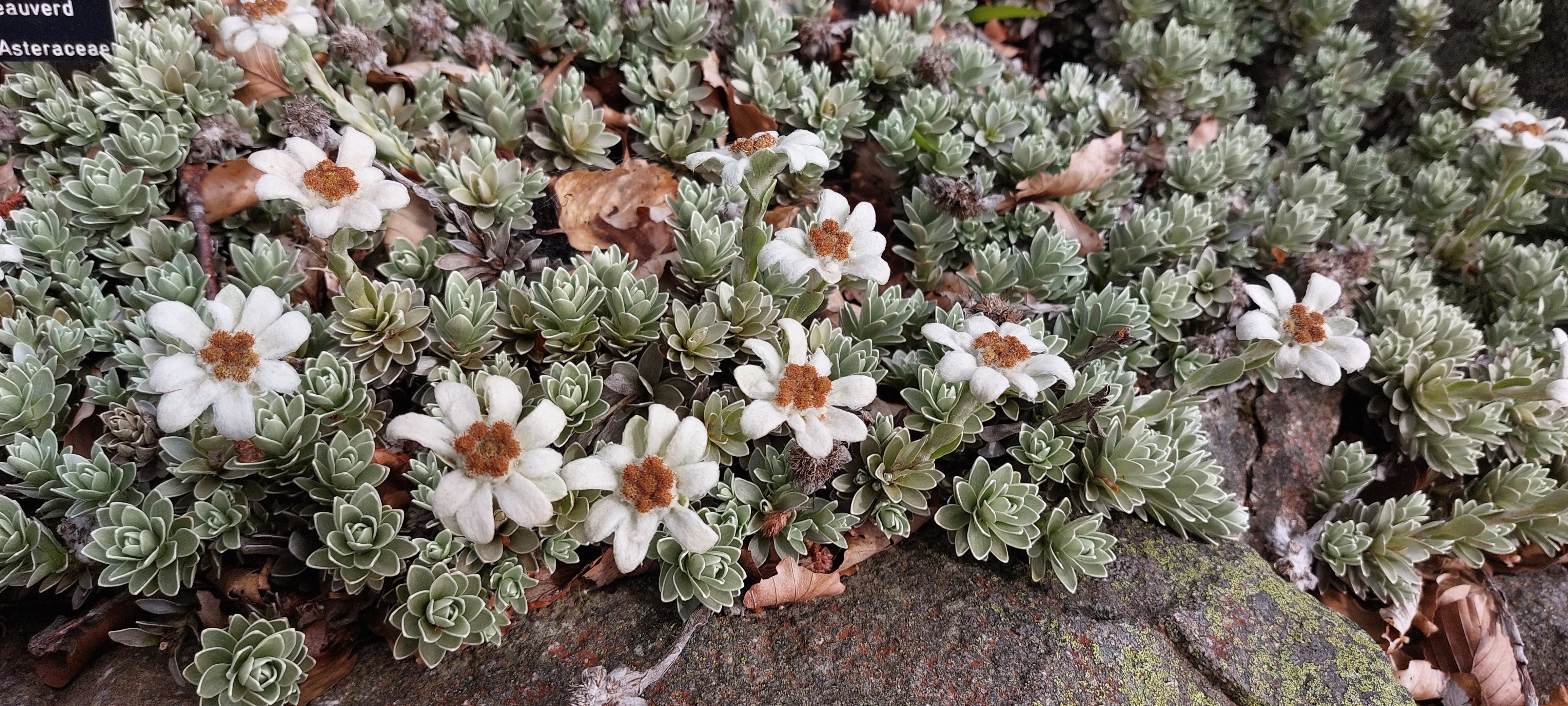 Photo n° 6 de l'avis de Johanna.a fait le 02/08/2023 à 07:32