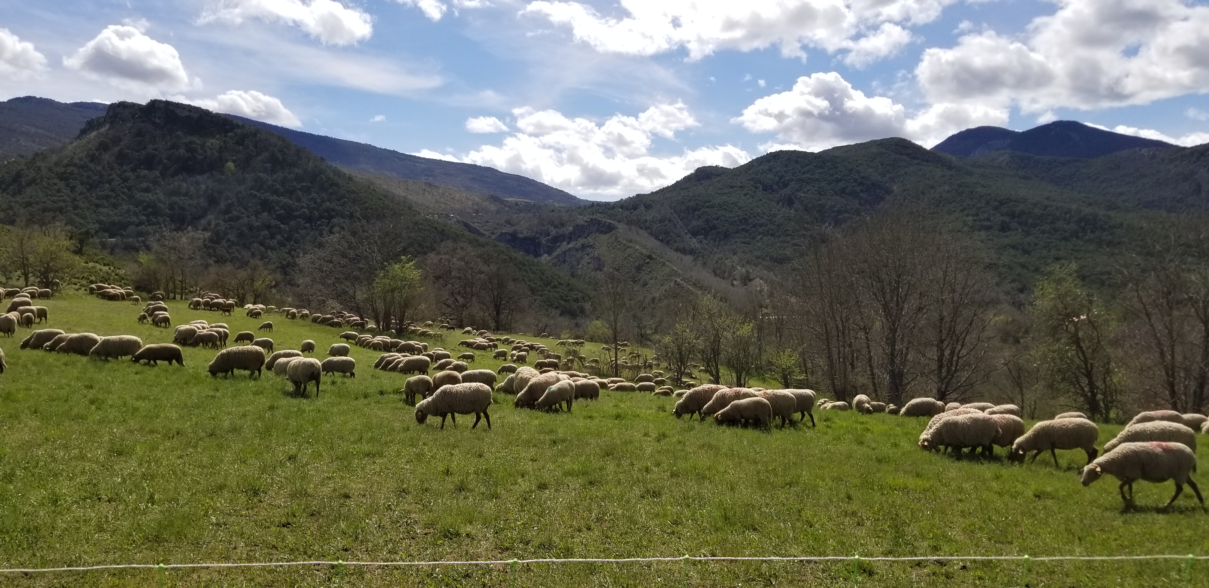 Photo n° 7 de l'avis de Emrtrgl. fait le 28/04/2019 à 19:38