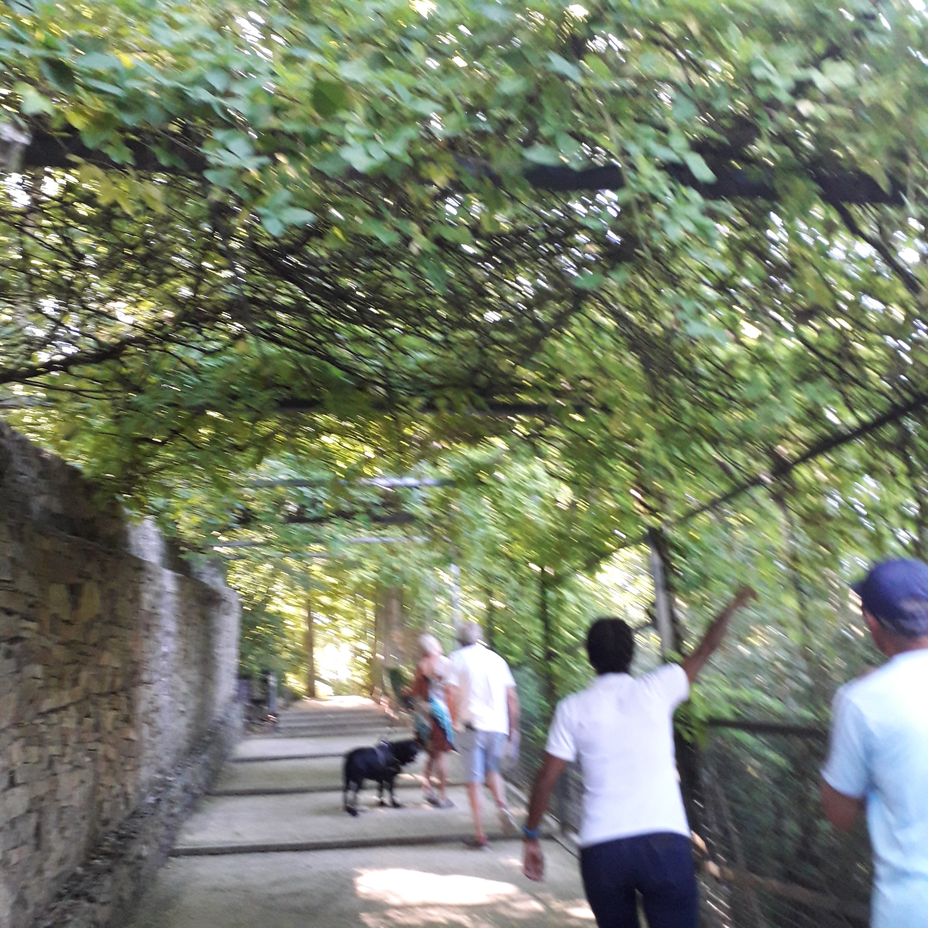 Photo n° 6 de l'avis de Myriam.� fait le 04/09/2019 à 13:53