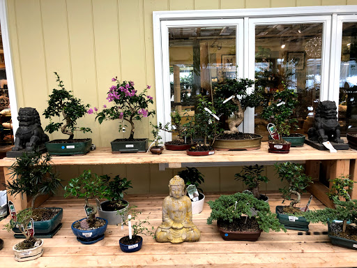 Plant Nursery «Potomac Petals and Plants», reviews and photos, 9545 River Rd, Rockville, MD 20854, USA