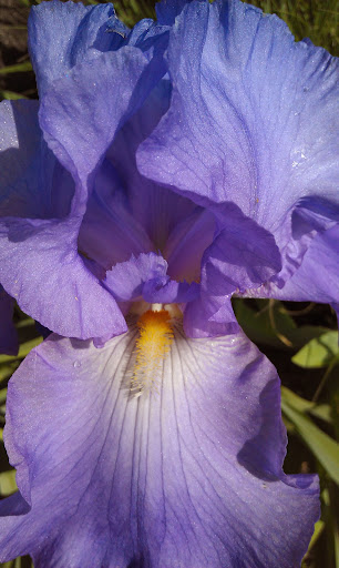 Golf Course «Swan Lake Golf Course», reviews and photos, 581 Dunbar Cave Rd, Clarksville, TN 37043, USA