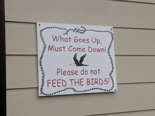 Seafood Restaurant «Dead Dog Saloon», reviews and photos, 4079 US-17 BUS, Murrells Inlet, SC 29576, USA