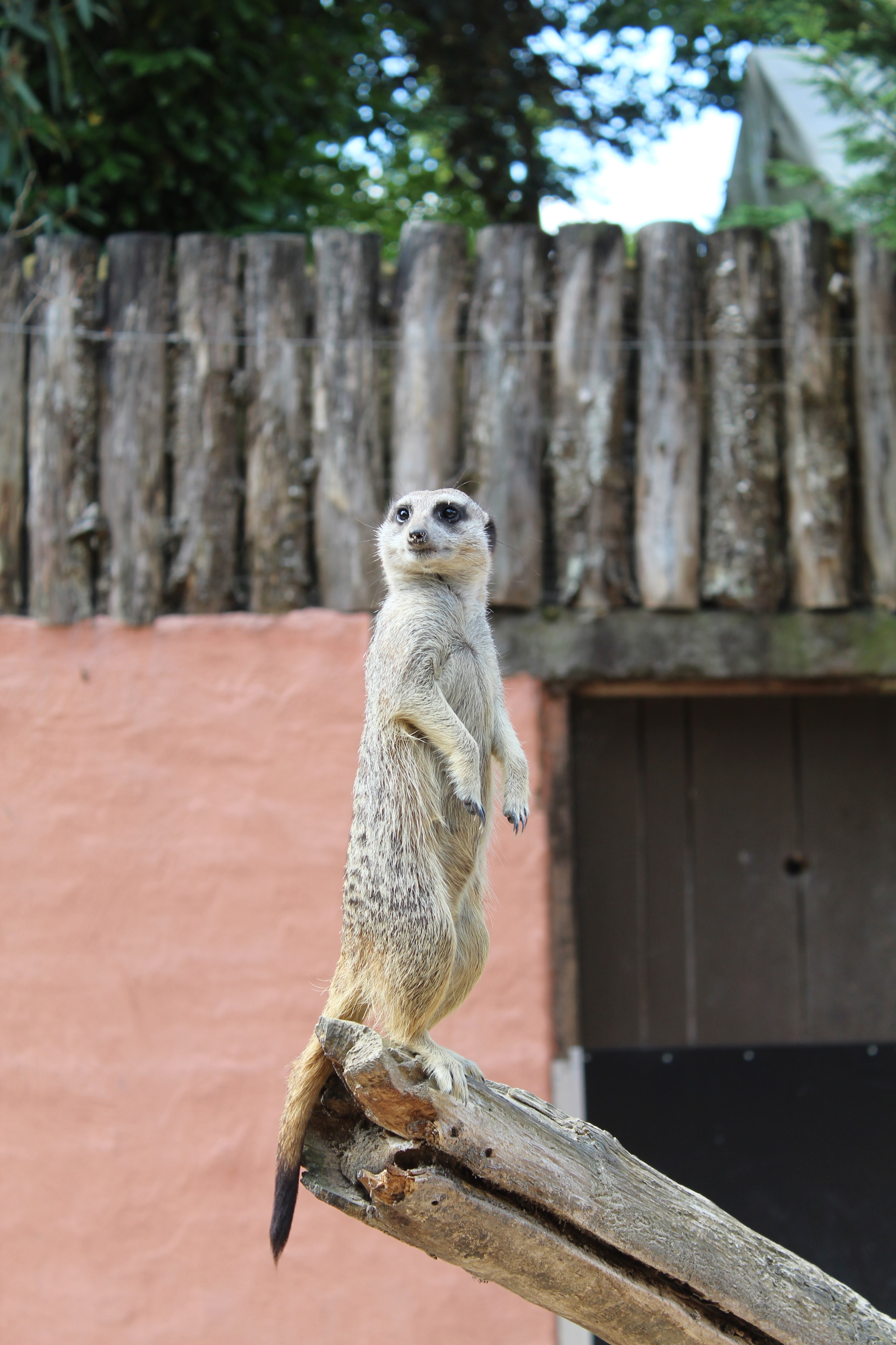 Photo n° 2 de l'avis de Malaurie.u fait le 01/08/2022 à 09:45