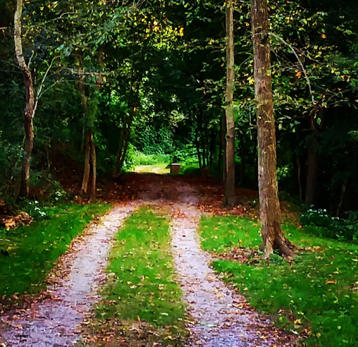 Laurel Hollow Park