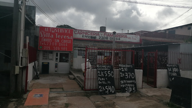 Carnicería villa Teresa - Ciudad del Plata