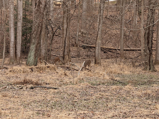 National Park «Wolf Trap National Park for the Performing Arts», reviews and photos, 1551 Trap Rd, Vienna, VA 22182, USA