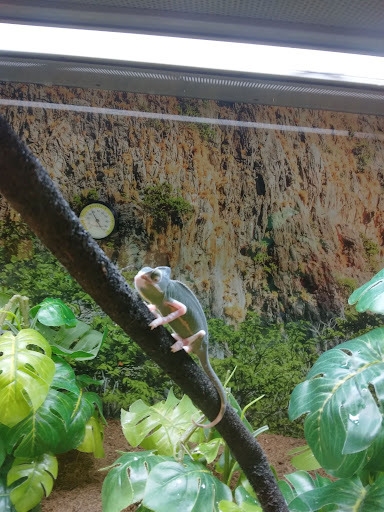 Pet Supply Store «Petco Animal Supplies», reviews and photos, 187 Stonebrook Pl, Jackson, TN 38305, USA