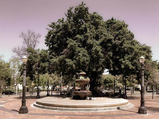 St. James Park - San Jose History Walk Marker #23