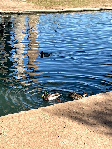 Park «Encanto Park», reviews and photos, 2605 N 15th Ave, Phoenix, AZ 85007, USA