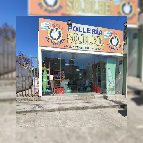 Opiniones de Pollería SO.DI.BE. en San José de Mayo - Tienda