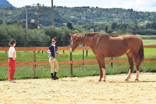 Les Écuries de la Lergue : Équicoaching & cours d'équitation à Clermont-l'Hérault