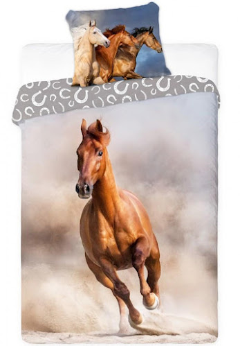 Budapest, Rákóczi út 51, 1088