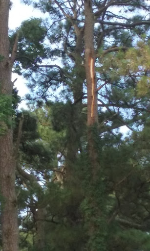 Theme Park «Frontier Town Western Theme Park», reviews and photos, 8428 Stephen Decatur Hwy, Berlin, MD 21811, USA