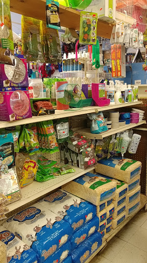 Pet Supply Store «Whiteway Pet Shop», reviews and photos, 950 Elizabeth Ave, Elizabeth, NJ 07201, USA