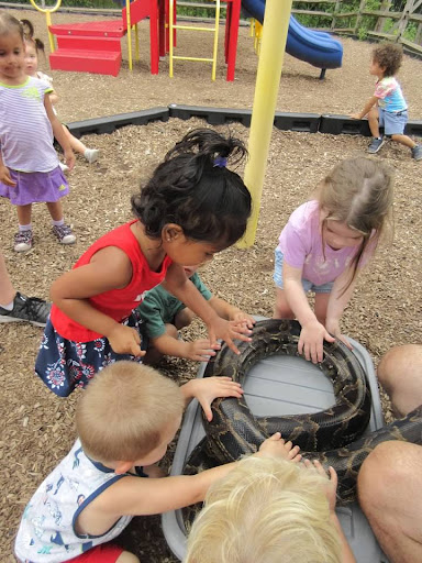 Preschool «All Day Learning Centers», reviews and photos, 170 Township Line Rd, Hillsborough Township, NJ 08844, USA