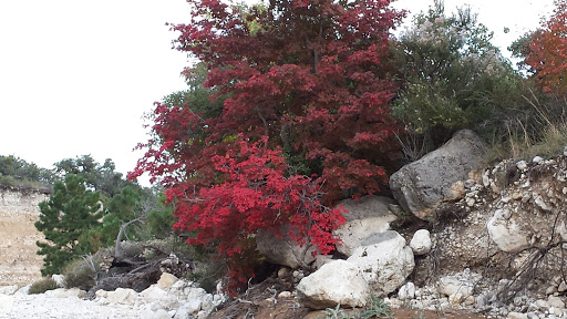 National Park «Guadalupe Mountains National Park», reviews and photos