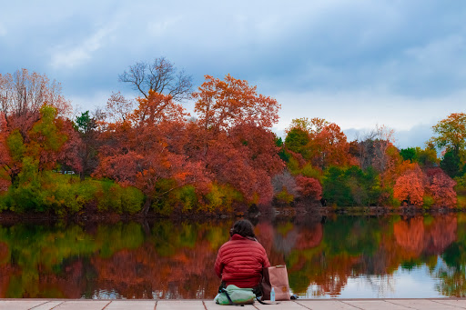 Tourist Attraction «Hoyt Lake», reviews and photos, 199 Lincoln Pkwy, Buffalo, NY 14222, USA