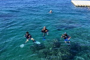 Antalya Sea Leon Diving Center image