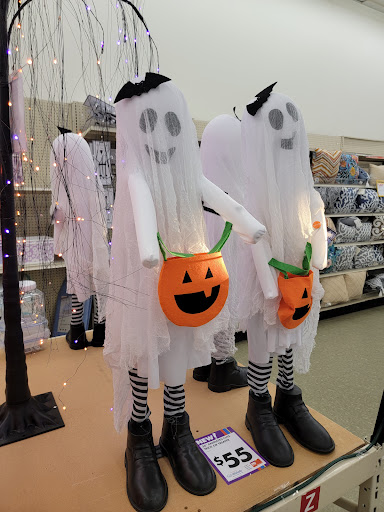 Discount Store «Big Lots», reviews and photos, 924 N Main St, Suffolk, VA 23434, USA