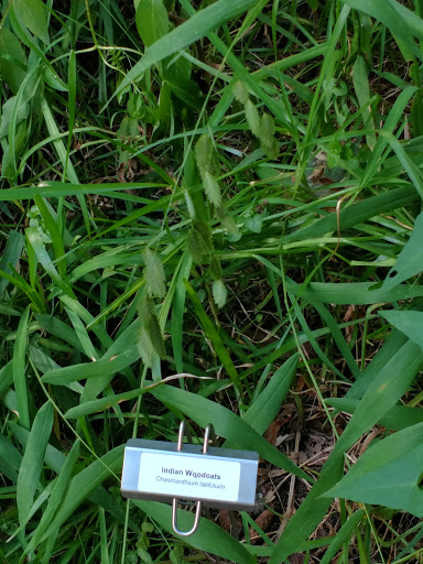 Non-Profit Organization «Nature Discovery Center», reviews and photos, 7112 Newcastle St, Bellaire, TX 77401, USA