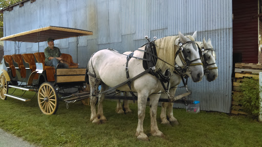 Auditorium «Chelsea Depot Association Inc», reviews and photos, 125 Jackson St, Chelsea, MI 48118, USA