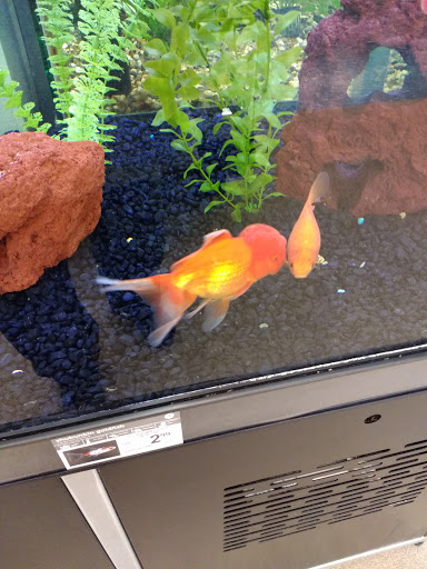 Pet Supply Store «Petco Animal Supplies», reviews and photos, 390 East 525 North, Harrisville, UT 84404, USA