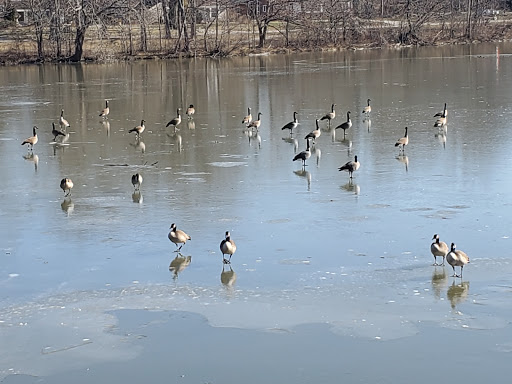 Park «Nature Center At Shaker Lakes», reviews and photos, 2600 S Park Blvd, Cleveland, OH 44120, USA