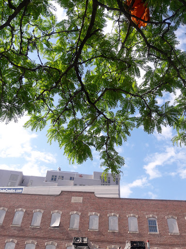 Museum «National Lighthouse Museum», reviews and photos, 200 The Promenade at Lighthouse Point, Staten Island, NY 10301, USA